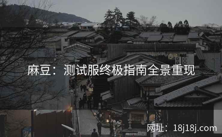 麻豆：测试服终极指南全景重现