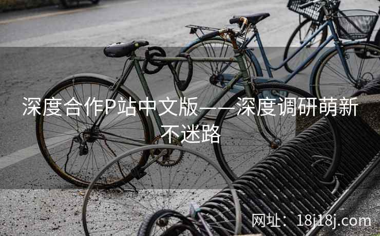 深度合作P站中文版——深度调研萌新不迷路