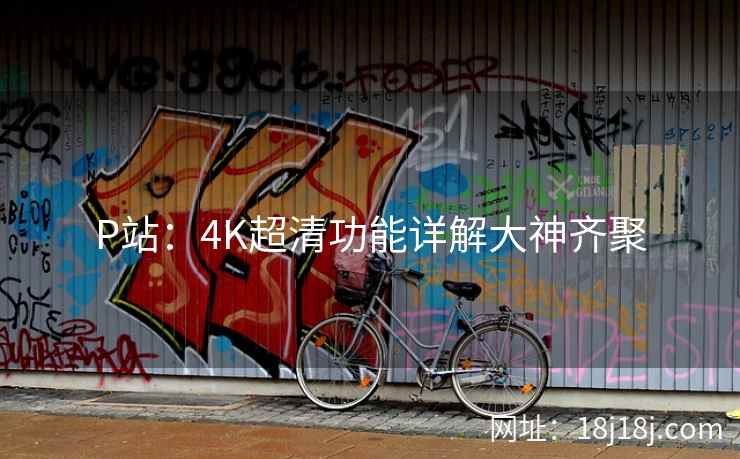 P站：4K超清功能详解大神齐聚